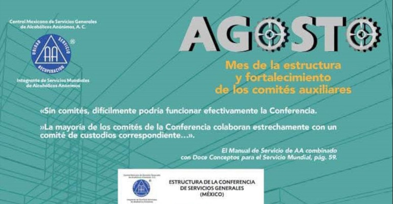 Mes de la estruc. y fortalecimiento de los Com. Auxiliares
